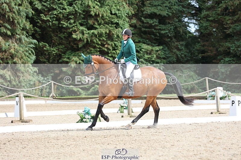 250718A-153116-02598 - 152-Tracy.OKennedy-Wylye.Harlequin