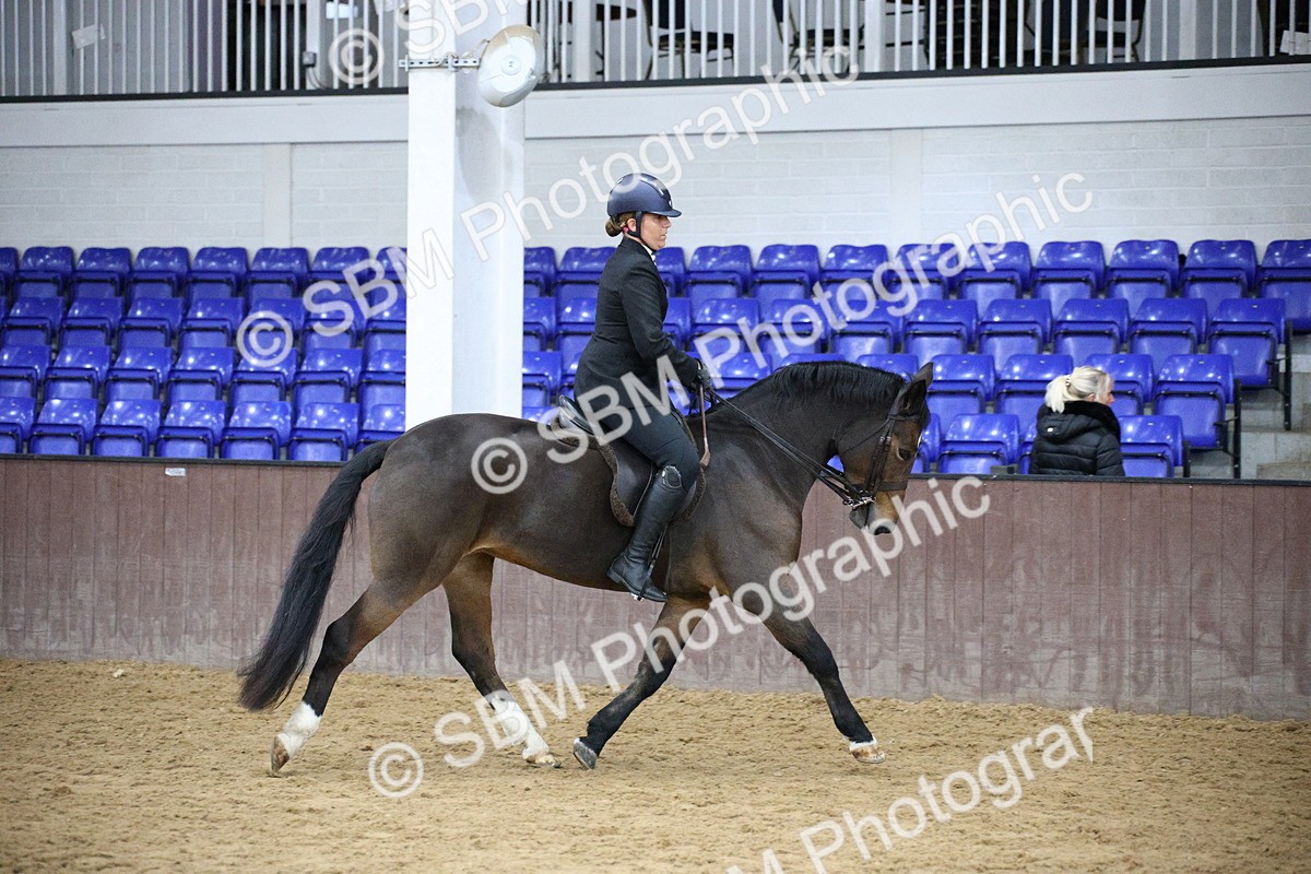 5K7A6092 - Class 48 - Ridden Mare