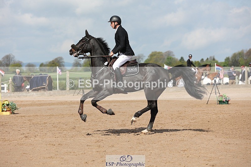 250427-105433-15688 - Cls 36 Young Horse 7yr old