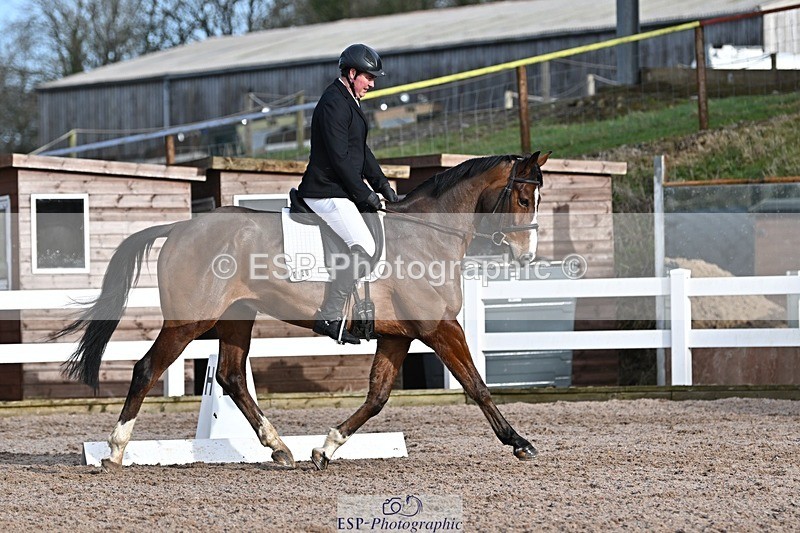 250125-110859-00271 - Dressage - CT Class 5 BE95 (90cm)