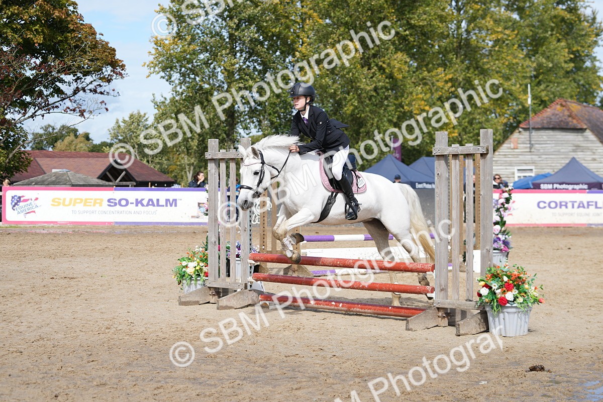 SBM_40791 - Supreme Championship Pony 50-55cm