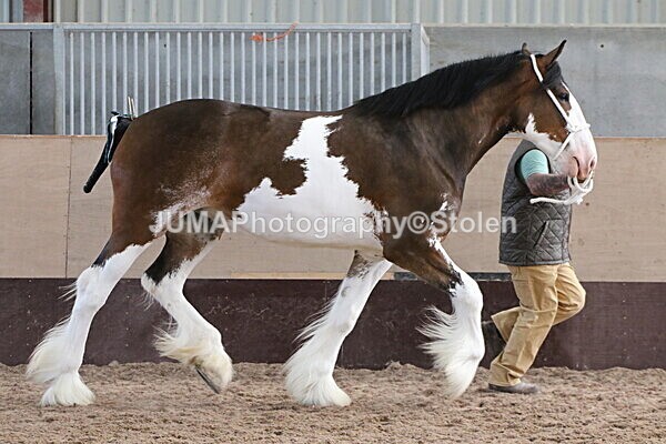 SIAL0224 - Indoor Classes