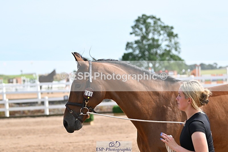 240717A-160229-03282 - Trot Up 4pm to 5pm