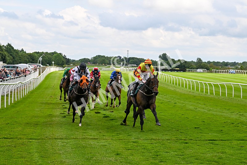 180624-Race 3-High Opinion-0310 - Race 3