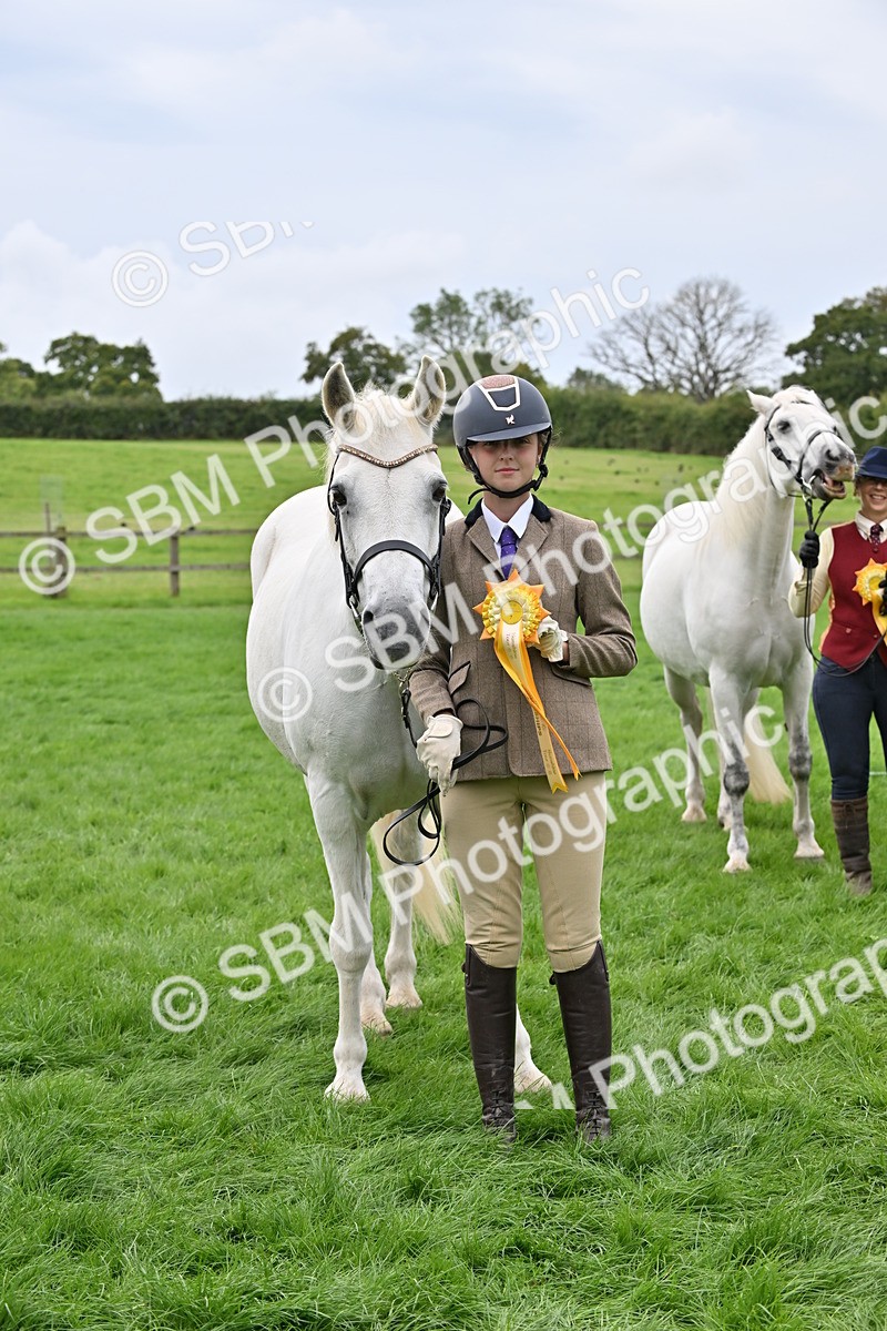 SBM_63329 - S49 - Mountain & Moorland In Hand Large Breeds