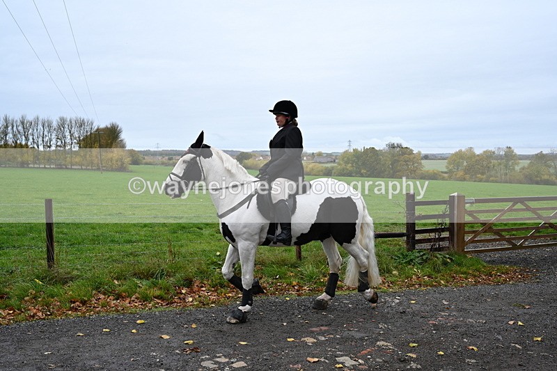 WJ6_9295 - Ride