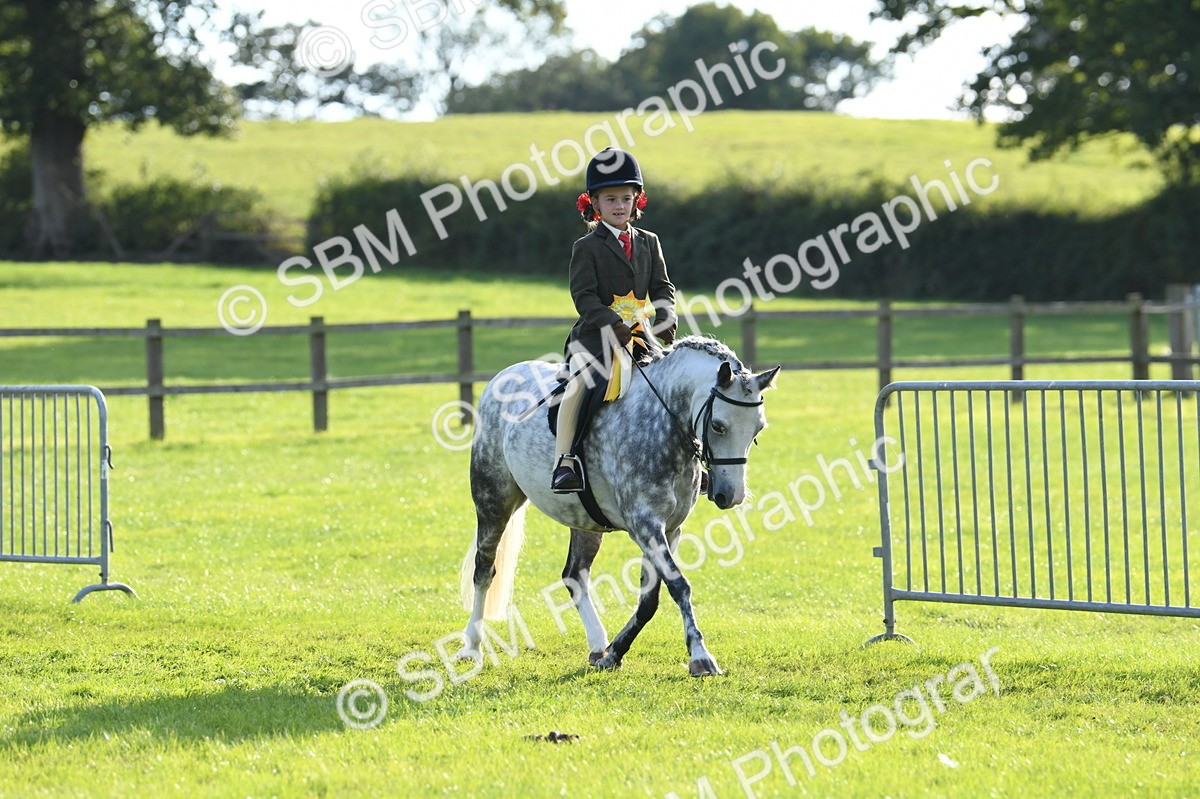SBM_52471 - S22 - 1st Ridden Show & Show Hunter Pony