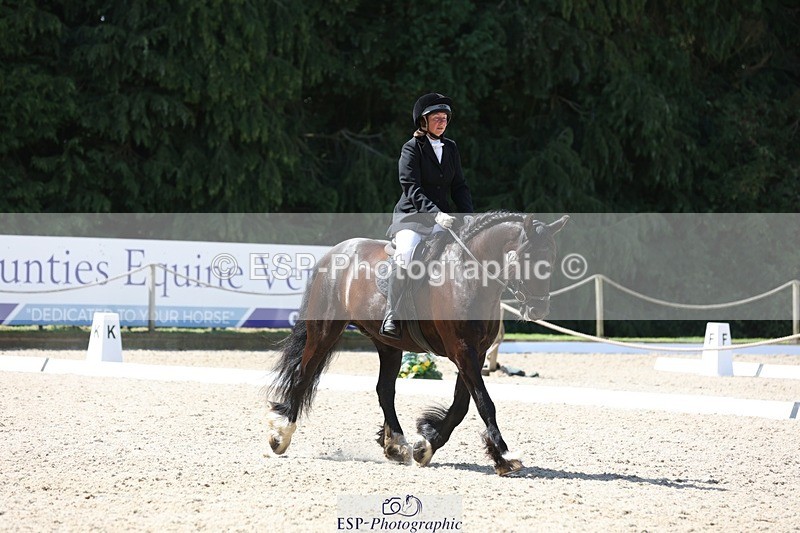 230811-120349-00978 - Cls 1 Prelim Bronze 11.10 to 12.35 break