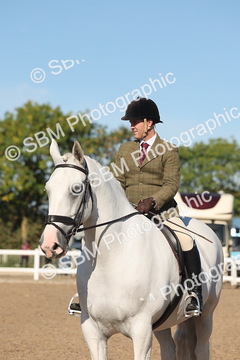 SBM_12238 - Class 303 - Ridden Pure Bred Horse Pony