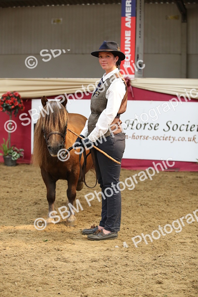 SBM_05405 - Class 8R - Regional IH Veteran
