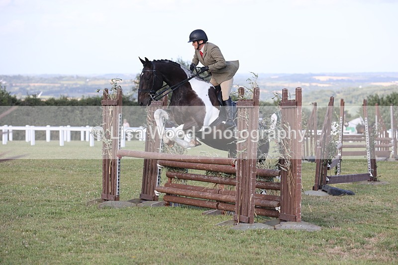 JPP_3440 - Class 22: Working Hunter 90cm