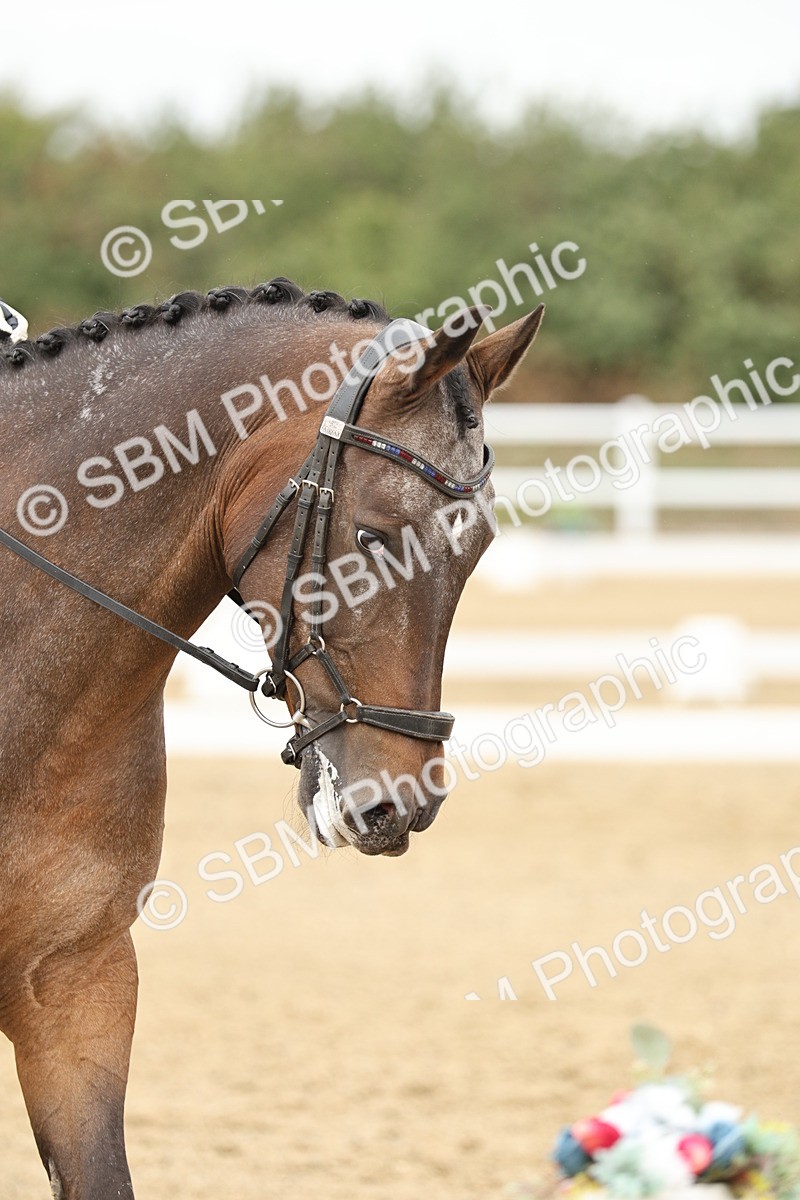 SBM_007013 - Class 21 - Medium 5 Bronze - 10.04-10.52