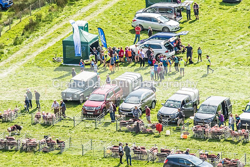 Ennerdale Show-18 - Ennerdale Show Fell Race Wednesday 30th August 2023