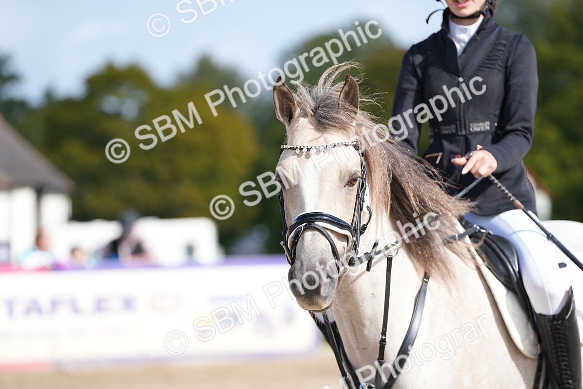 SBM_17833 - J58 - Clear Round 50cm
