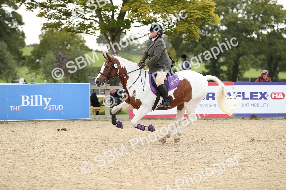 SBM_09887 - J36 - Veteran Rider 70cm