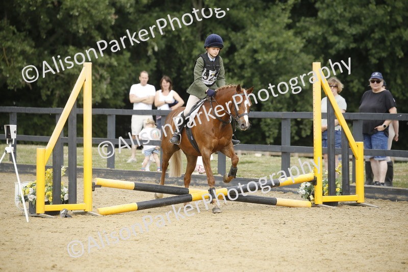 20250622-1504 - 40cm