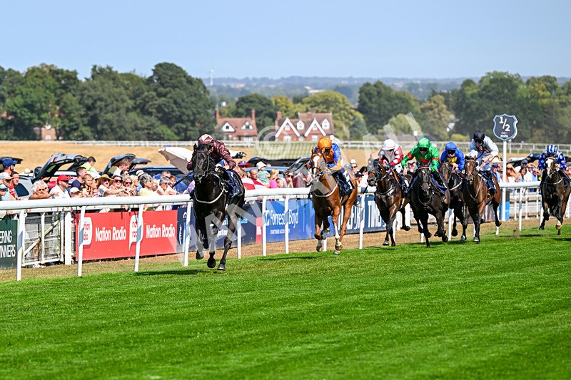 130826-Race 2-Concert Pitch-8337 - Race 2 14.45pm Welcome Racing TV Club Members Nursery Handicap