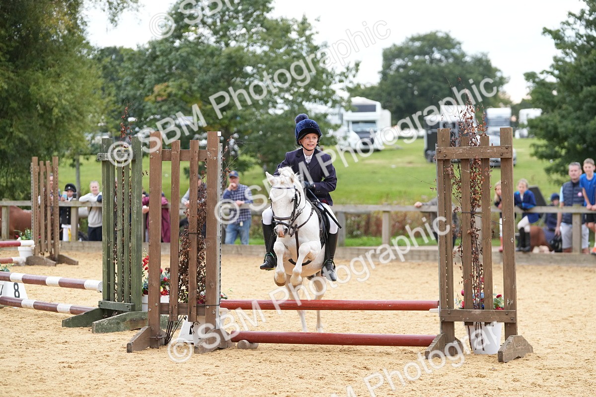 SBM_74822 - J4 - Mini Tour Junior Pony 45cm Championship