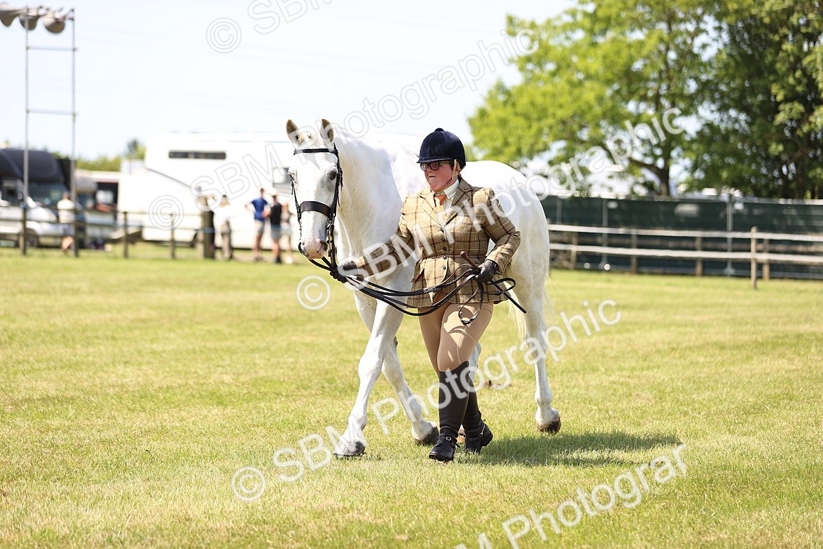 SBM_16171 - Class 79-80 - LIHS BSHA Rising Star Ridden Hunter