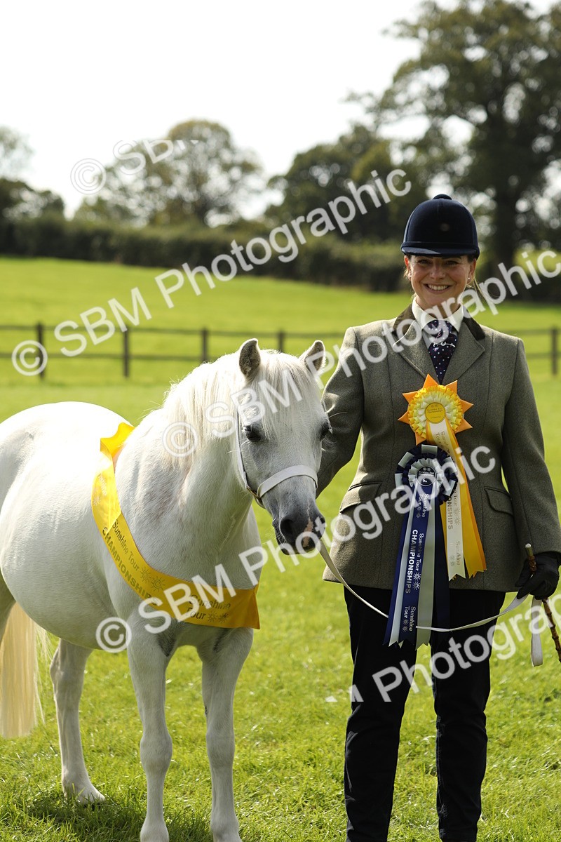 SBM_66380 - In Hand Pony & Youngstock Supreme Championship