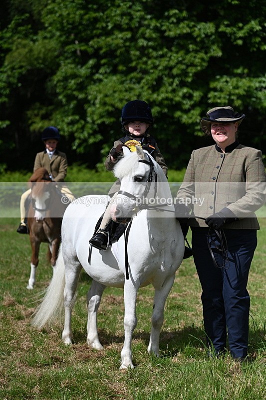 WJ7_0846 - Class 8 First Rally Pony