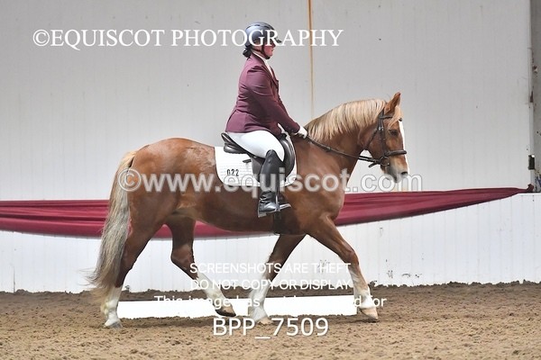 BPP_7509 - INTRO TEST 2