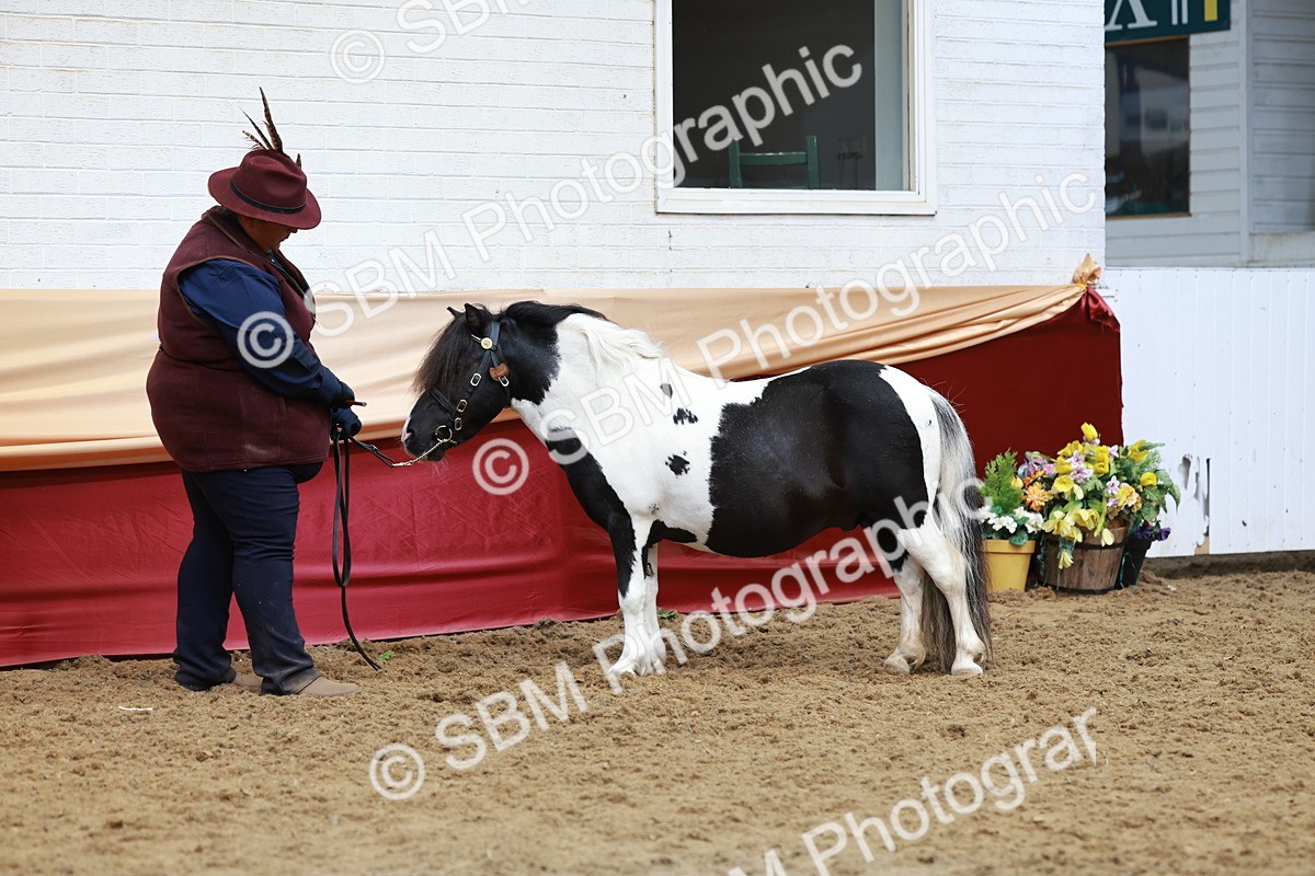 SBM_17583 - Class 951 - M&M IH Supreme Final