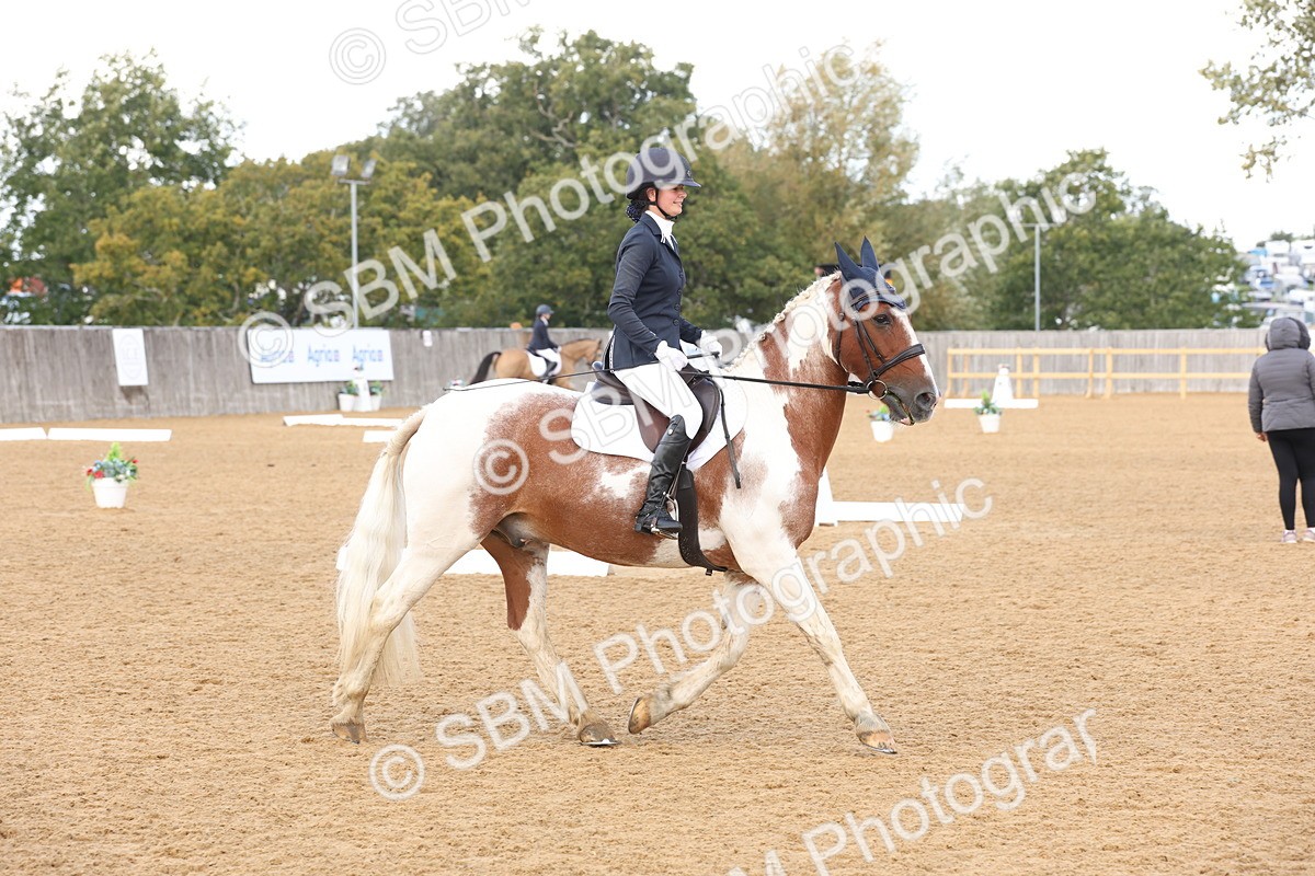 SBM_47463 - D12 - Small Tour Championship prelim 2