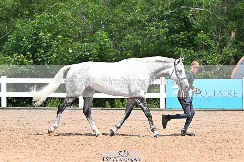 240718A-105252-01257 - Trot Up 12pm to 1pm