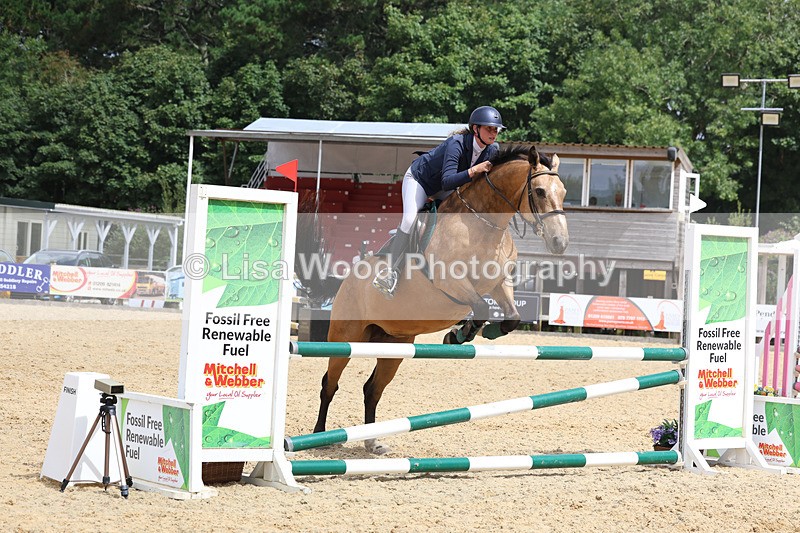 3E7A4878 - Class 4: Senior British Novice/90cm open
