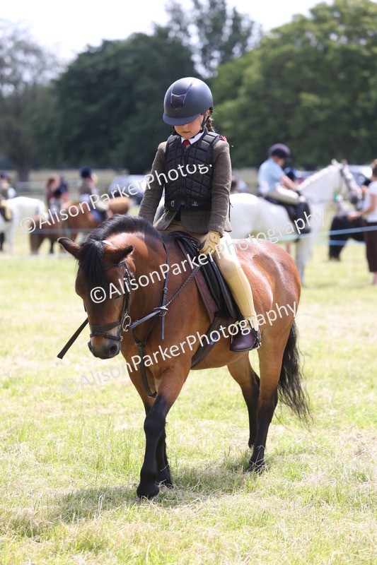 20260614-1808 - Class 21 - Novice Working Hunter Pony