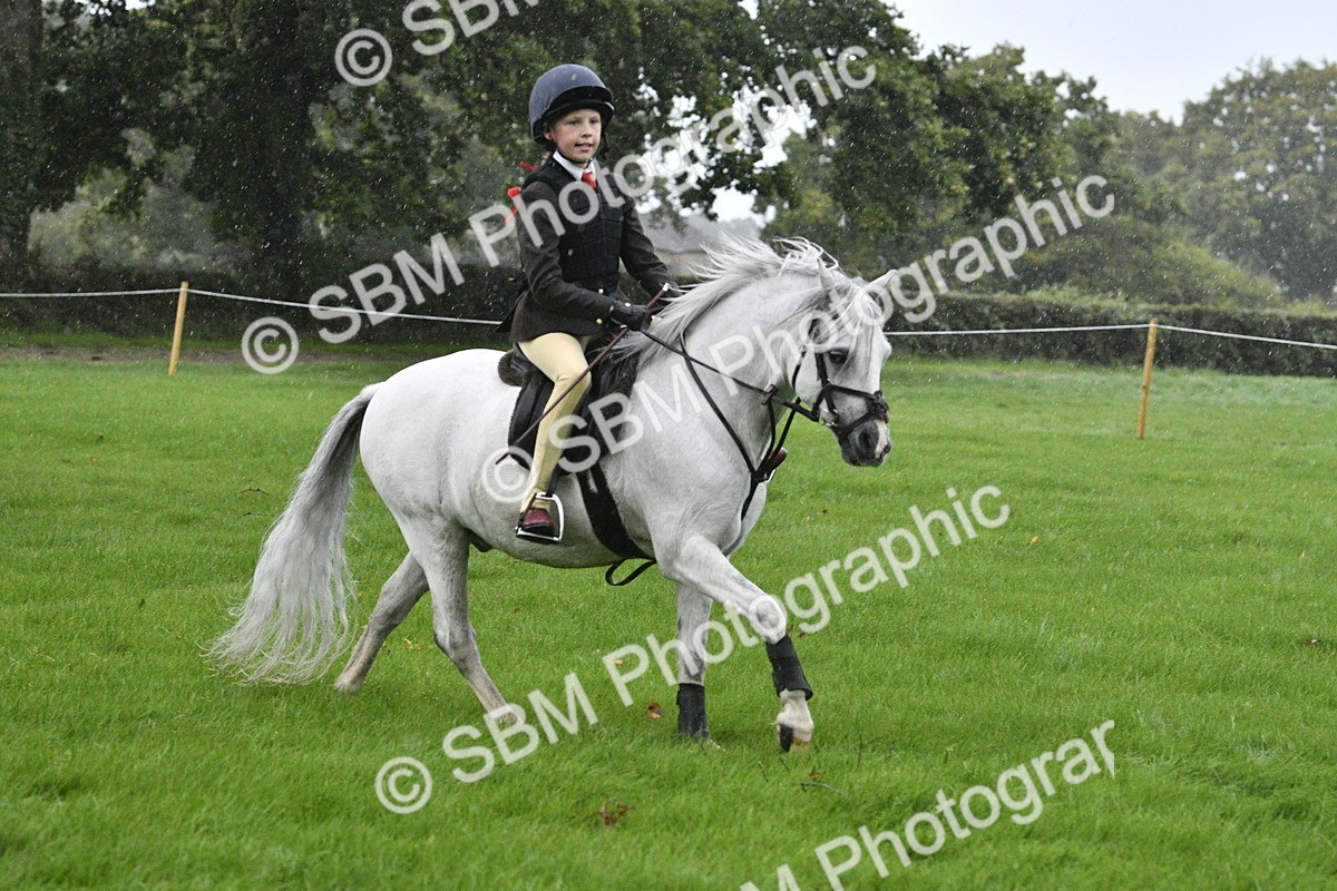 SBM_37119 - S31 - Novice & Newcomer Working Hunter Pony