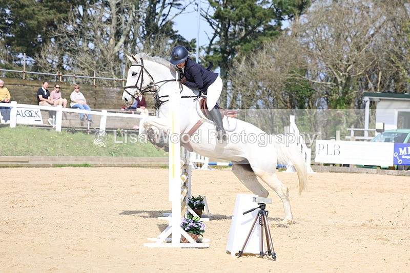 3E7A6646 - Class 4: Senior British Novice/90cm open