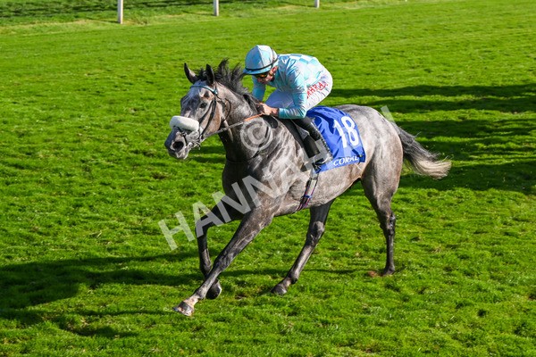 111025-Race 4-Binhareer-8841 - Race 4 Coral Sprint Trophy Handicap at York