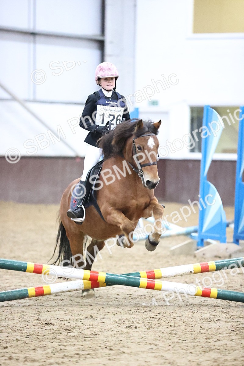 SBM_000263 - Class 2 - The Rug Lady 40cm