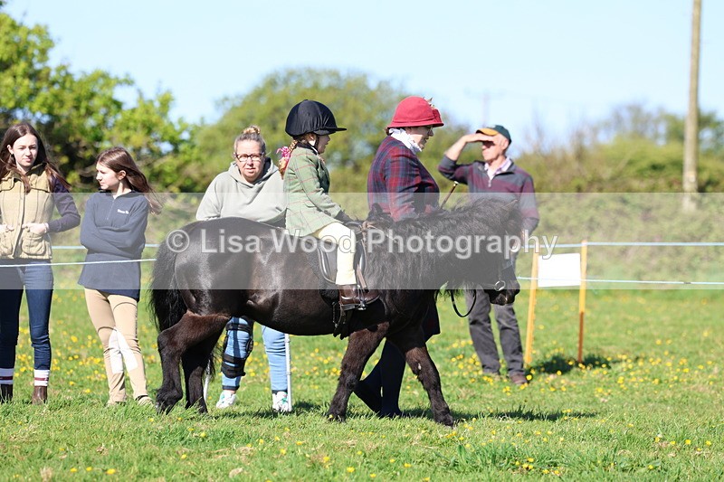 3E7A8913 - Class 2: Lead rein