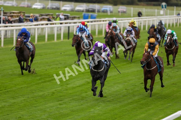 131023-Race 1-Pilgrim-9710 - Race 1 2.05pm William Hill EBF Novice Stakes