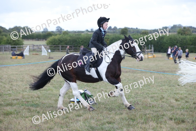 20250831-4251 - Class 20 - Ridden Coloured