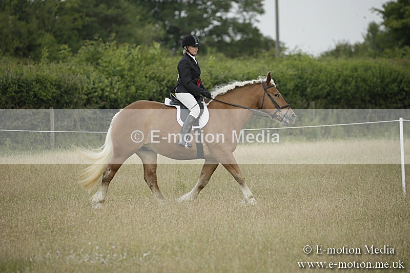 B230619-0198 - Bourne Valley Riding Club Summer Show 23/06/19