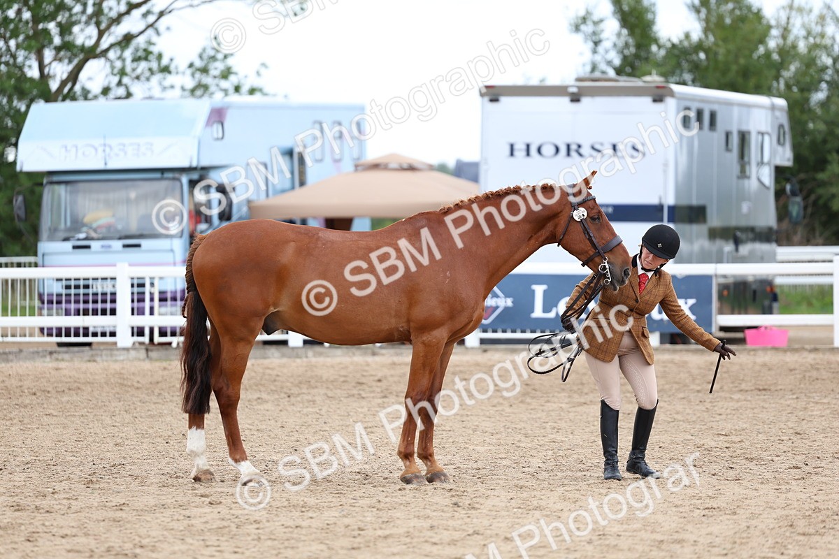 SBM_05724 - Class 28 - IH Veteran Horse