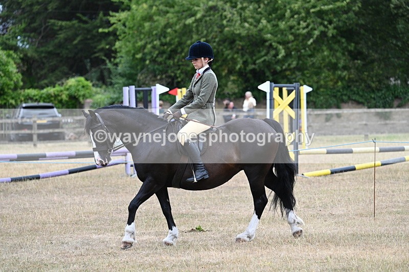 WJ7_0464 - Class 6 Ridden Mountain and Moorland
