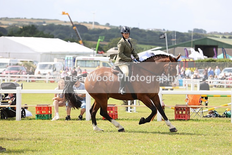 JPP_1286 - Class 17: Cornish Combination Open