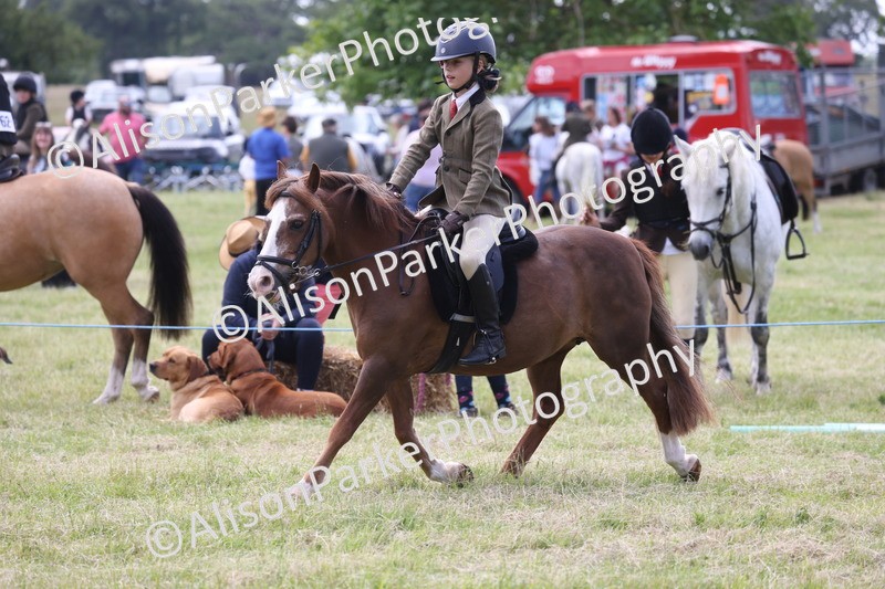 20260614-2093 - Class 21 - Novice Working Hunter Pony