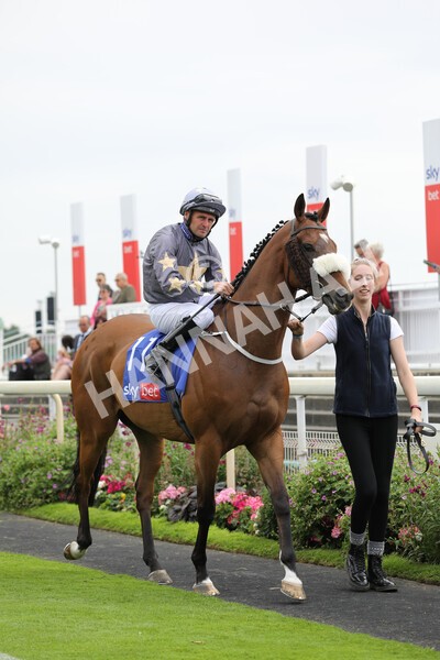 yr23072022r2-9 - Race 2 2.40pm Sky Bet Dash