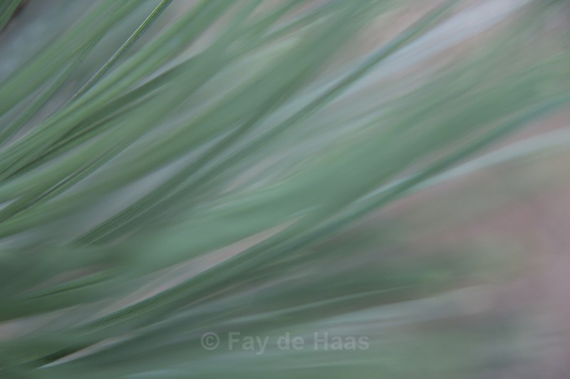  - Vibrant Green