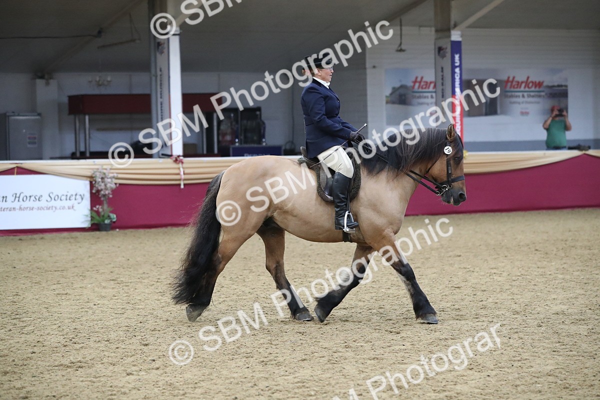 SBM_16442 - Class 502 M&M Ridden Supreme Final