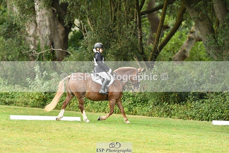 250820A-121731-05541 - 12 to 13.00