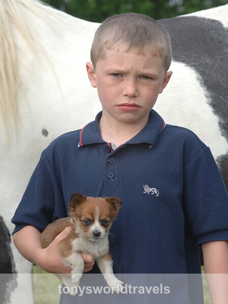 1, Young Boy with pup, Spancil Hill Horse fair, Co.Clare - Horse Fairs, Ireland