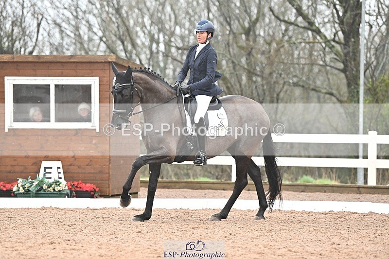 250215-115937-03314 - 165-Elder.Klatzko-Dynasty.Hit