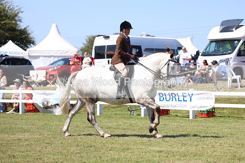 3E7A7517 - Rising Star Ridden Championship